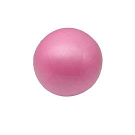 Mini Ballon D Exercice Ballon De Pilates Pour La Physioth Rapie Les