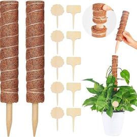 Z C Bâton De Coco de 40cm avec 10 Étiquettes de Plantes pour Plantes