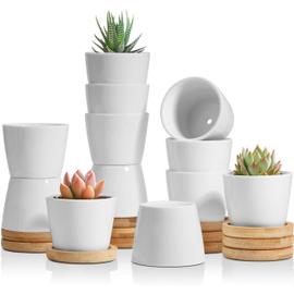 Pcs Pot De Succulent En Cramique Blanc Rond Cm Avec Plateau En