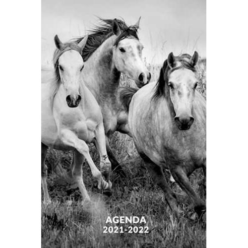 Agenda Scolaire 2021 2022 Cheval Agenda Cheval Journalier 2021 2022