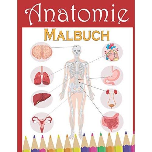 Anatomie Malbuch Anatomie Durch Malen Lernen Das Malbuch Zur