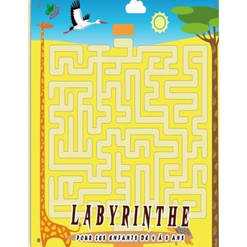 Labyrinthe Pour Les Enfants De Ans Livre D Activit S De