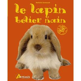 Le Lapin B Lier Nain Rakuten