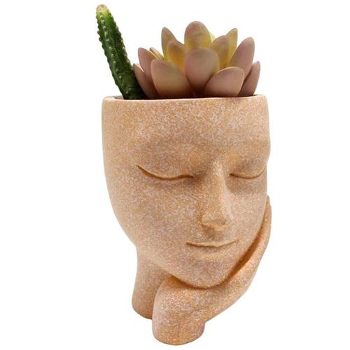 T Tes De Pot Pour Plantes Visage Mignon Pot De Fleur Jardini Re De