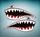Dent Requin