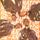 Everything Everything pas cher - Meilleures offres sur le neuf et l'occasion Everything Everything