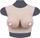 Faux Seins Silicone