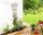 Treillis pas cher - Meilleures offres sur le neuf et l'occasion Treillis