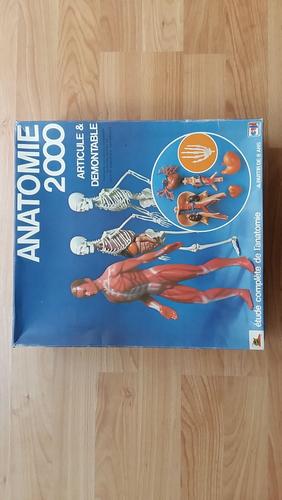 Anatomie 2000 Ceji ~ Vrac d'Organes et Os - Jeux & Jouets
