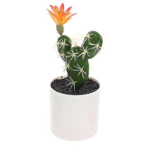 Solvant Lot De 6 Pots De Fleurs Ronds Avec Soucoupe, 16 Cm Avec Plusieurs Trous De Drainage, Pour L'intérieur Et Le Balcon, Cactus Juteux (blanc, 16 Cm