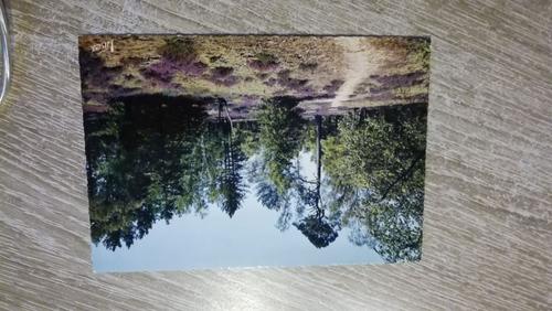 CARTE POSTALE - Animaux - Chasse en Sologne - Multivues - CPM - Voir Scans Recto EUR 1,49 - FR