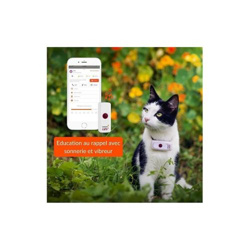 Pour Airtag GPS Cat Collar avec support réglable et cloche, compatible Apple  Airtag