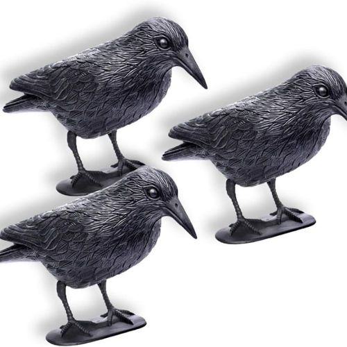2pcs，Corbeau Répulsif Pigeon en Plastique，Répulsif Oiseaux Naturel  Antiparasitaire，noir