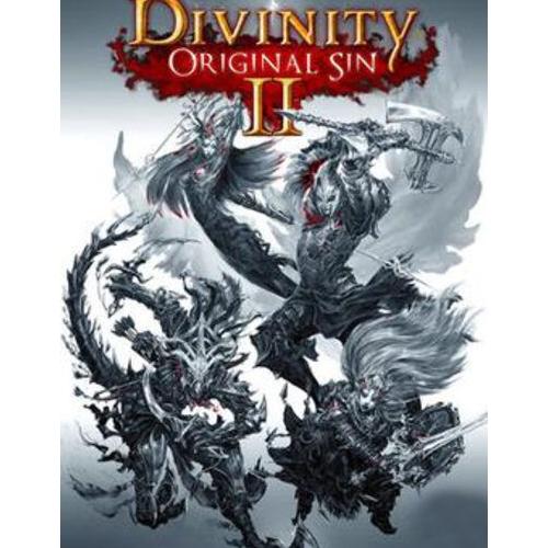 divinity original sin 2 ps3