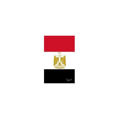 Patch écusson brodé Drapeau  EGYPTE EGYPTIEN  FLAG Thermocollant Insigne Blason