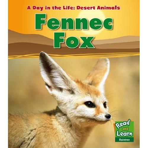 Achat Fennec Animalerie A Prix Bas Neuf Ou Occasion Rakuten