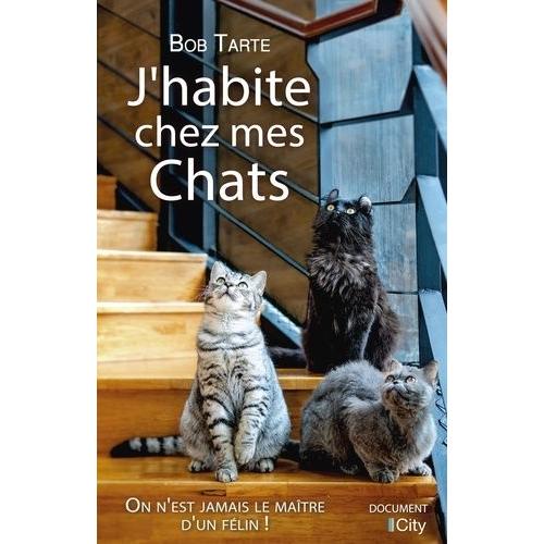 Habit Chat A Prix Bas Promos Neuf Et Occasion Rakuten