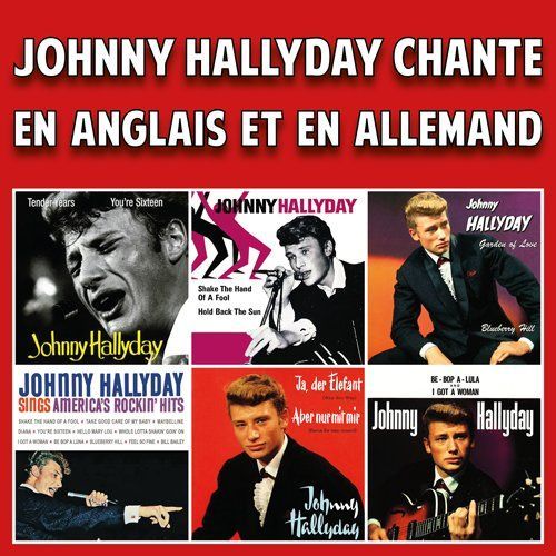 Johnny Hallyday - Shake The Hand Of A Fool - EP Pochette Allemande (Vinyle  7'')