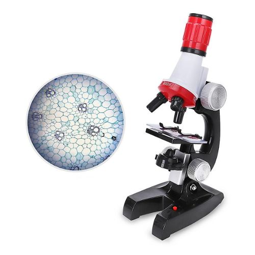 Jouet De Microscope, Jouets De Microscope Pour Enfants Blancs Pour