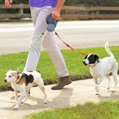 Laisse-sangle à enrouleur rétractable pour chien jusqu'à 25 kg
