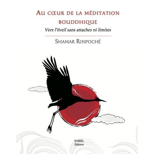 Quelques pas vers l'infini - Un voyage au coeur de la méditation - broché -  Joël Callède - Achat Livre ou ebook