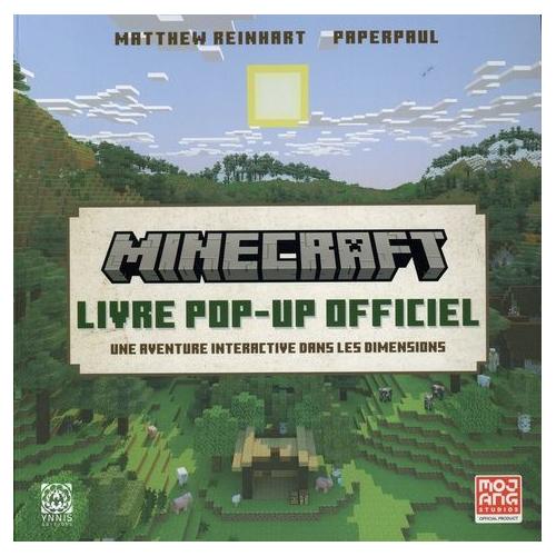 Minecraft - Le grand livre des trucs et astuces - Spécial Biomes - Guide de  jeux vidéo - Dès 8 ans