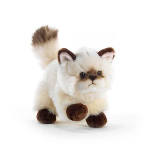 2x Belle Peluche Chat Jouets En Peluche Chat Oreiller Décoration Enfants  Jouet