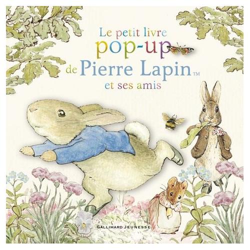 LA PETITE SIRENE. LE LIVRE POP-UP, Reinhart Matthew pas cher 