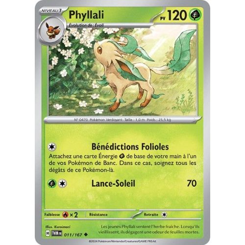 Pokémon - Coffret Givrali ou Phyllali VSTAR, Cartes à jouer et à  collectionner, À partir de 6 ans