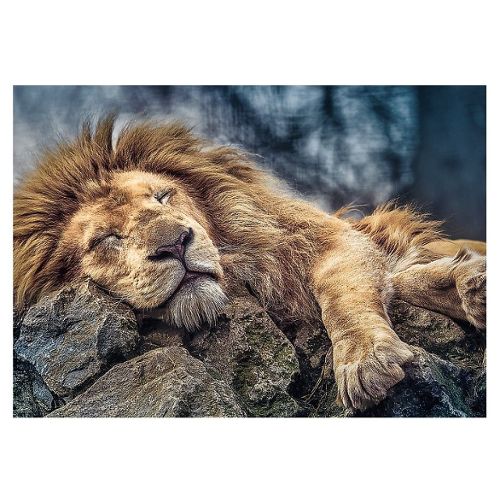 PERRE / ANATOLIAN Puzzle 1000 pièces : Le lion pas cher 