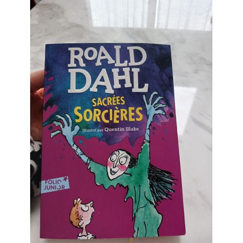 Roald Dahl Sacrées sorcières La passe-Miroir 1 - Les fiancés de l'hiver –  My French bookstore