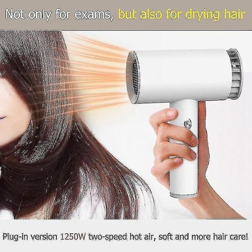 Sèche-cheveux GENERIQUE Sèche-cheveux électrique sans fil rechargeable  blanc avec vent chaud et froid pour appareils ménagers