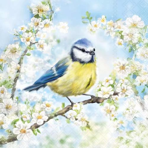 Ambiente Lot De 20 Serviettes En Papier Avec Motif Oiseaux Sur Branches Avec Bords Convient également Pour Le Découpage Et La Technique Des Serviettes