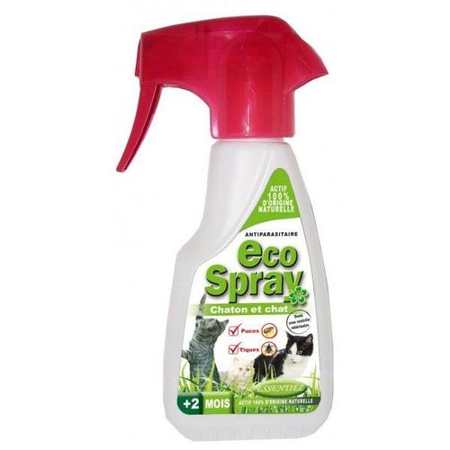 Catit Spray Herbe à Chat 60 ML : : Animalerie