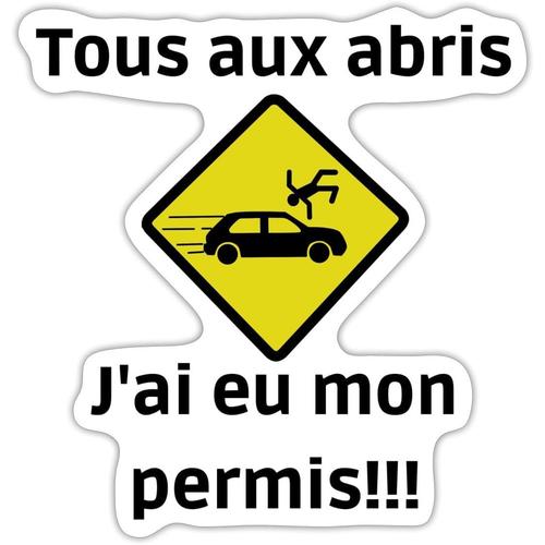 Autocollants en vinyle pour voiture autocollants drôles motif yeux jaunes  rétroviseur (2PS)