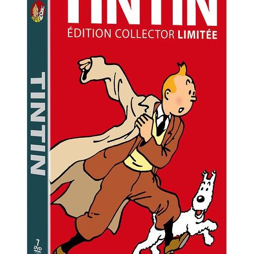 Tintin - Tintin - Un monde sans frontières - Pierre-Olivier Bonfillon -  cartonné - Achat Livre