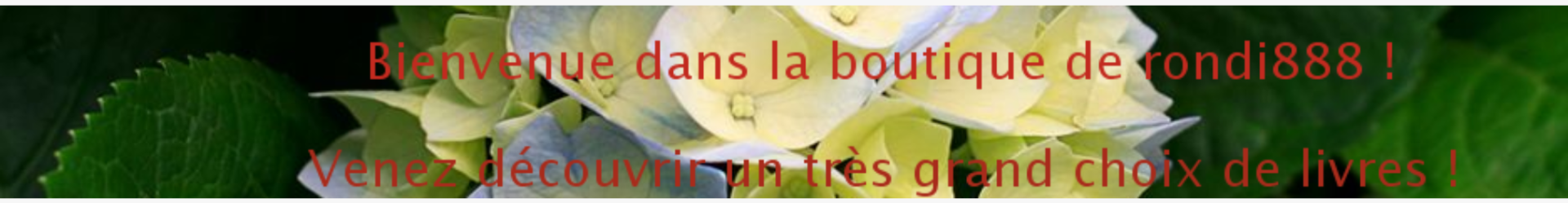 rondi888