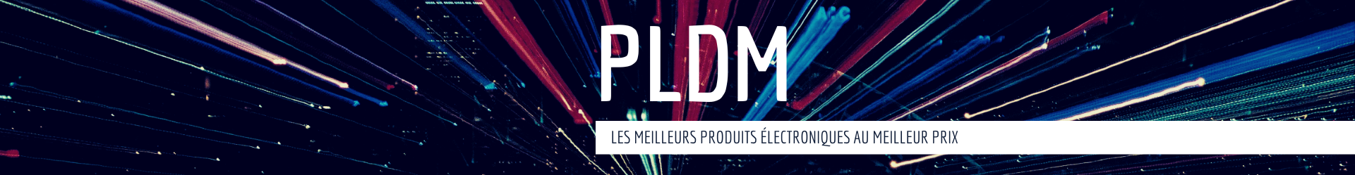 PLDM