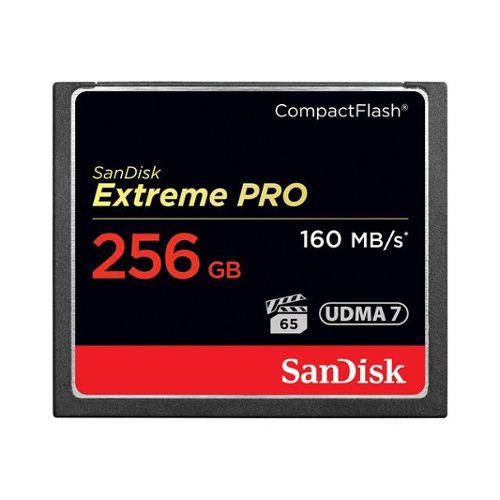 Carte mémoire SD 8 Go SanDisk - Promos Soldes Hiver 2024