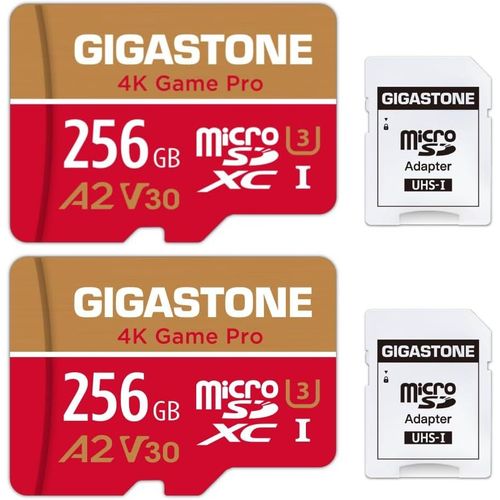 [5 Ans Rcupration de donnes Gratuite] Carte Mmoire 256 Go Lot de 2 Cartes,4K Game Pro,Compatible avec GoPro Switch 1,Vitesse 100 Mo/s. A2 U3 V30 Carte Micro SDXC avec Adaptateur SD.