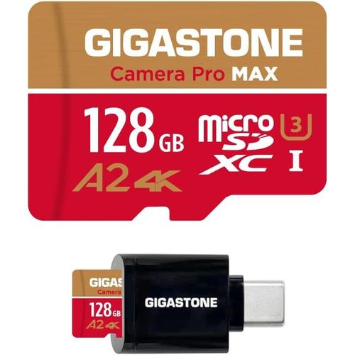 [5 Ans Rcupration de donnes Gratuite] Carte Mmoire MicroSDXC 256 Go avec USB 3.2 Type C Lecteur de Carte,Camera Pro Max,Vitesse jusqu' 120 Mo/s,pour GoPro,DJI,Drone,4K A2 V30