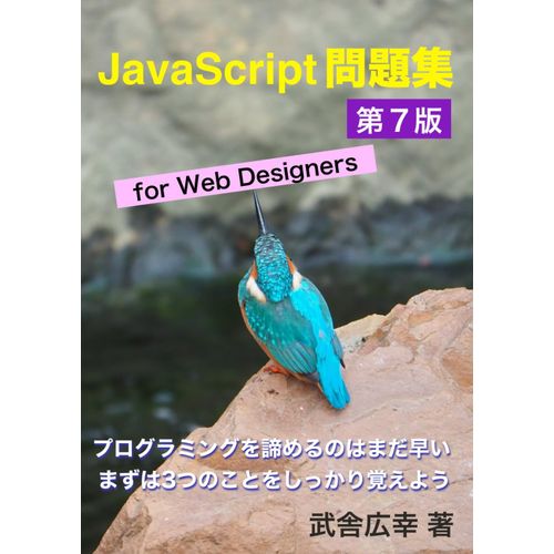 Javascript For Web Designers :    Format Broch 
