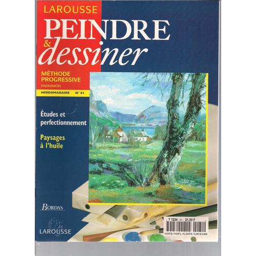  Peindre Et Dessiner Mthode Progressive. Parramon. N 81 - Etudes Et Perfectionnement. - Paysages A L'huile.  