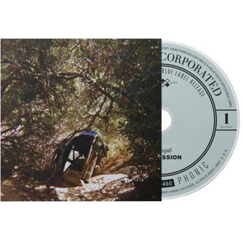 Ty Segall - Possession [Compact Discs] - 