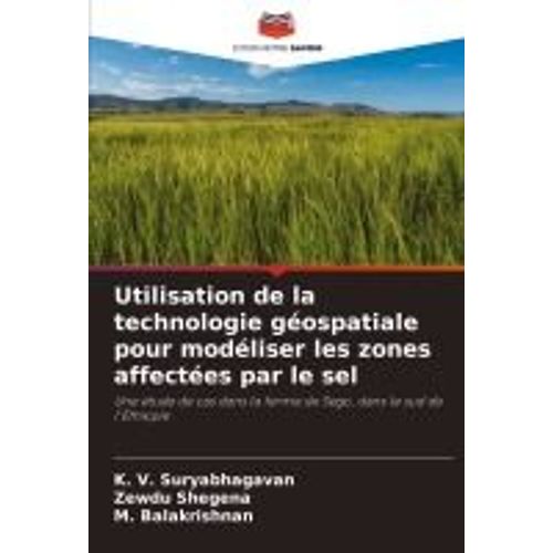 Utilisation De La Technologie Gospatiale Pour Modliser Les Zones Affectes Par Le Sel    Format Broch 