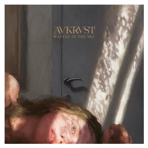 Waving At The Sky - Vinyle - 