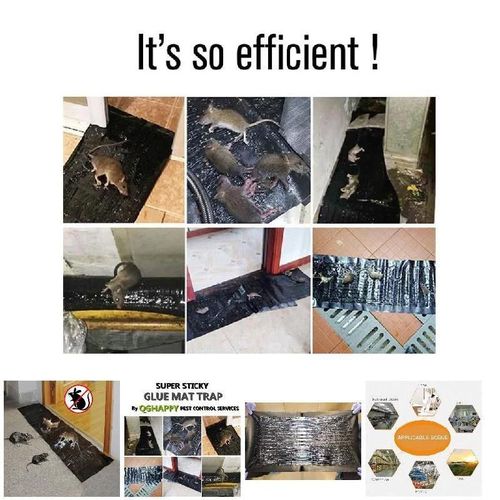 1.2m Grande Taille Souris Souris Rongeur Colle Piges Planche Super Collant Rat Serpent Expulser