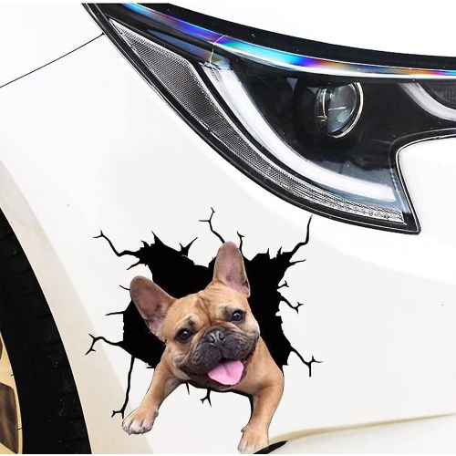 1 Autocollant 3d En Vinyle Motif Chien, Motif Craquel Amusant, Pour Vitre De Voiture, Motif Animal, Motif Craquel lectrostatique, Pitbull