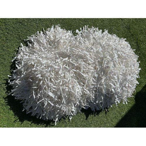 1 Paire De Pompons Amricains 