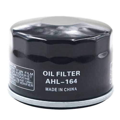 1 Pc Filtre  Huile De Moto Pour Bmw 1000 Hp4 K42 C600 C650gt 647 F650gs F700gs F750gs F800gs F800gt F800r F800s F800st F850gs K1200gt 
